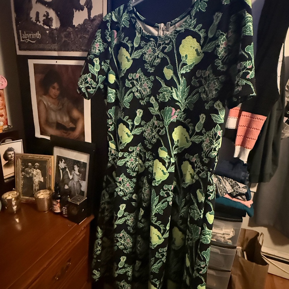LuLaRoe Green and Black Botanical Print Dress